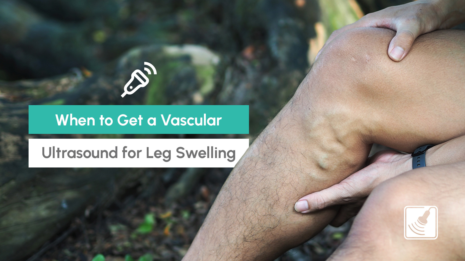 vascular ultrasound